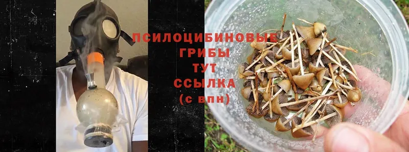 МЕГА ONION  что такое   Полевской  Псилоцибиновые грибы Psilocybe 